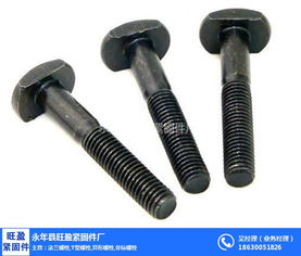 上海T型螺栓專業供應商 旺盈緊固件，金屬拉絲加工品質保障